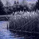 Media Conditioning and Mass Psychopathy : The Pond of Garlasco