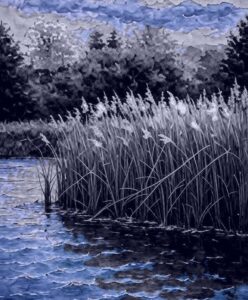 bpond